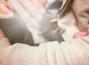 Keebler