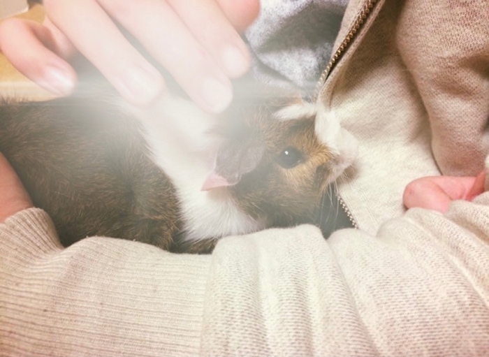 Keebler